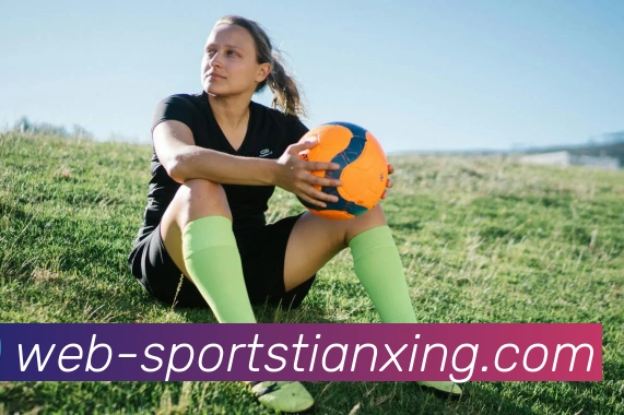 天行体育平台生态图